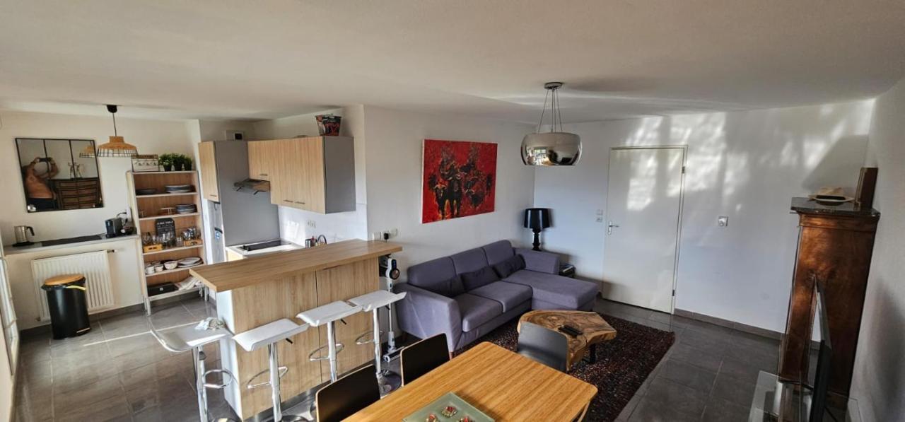 Appartement Coeur Toulousain Avec 2 Chambres Toulouse Exterior photo
